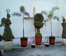 Parque de la Dignidad photo