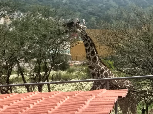 Parque Ecológico EHECATL