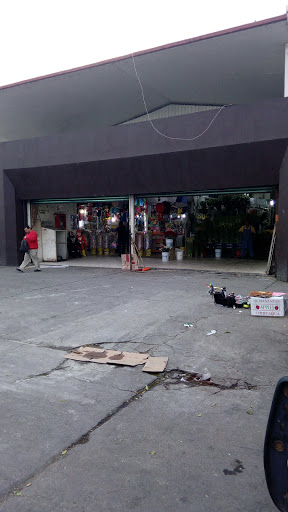 Mercado De Las Flores Toluca