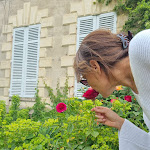 Photo n° 1 de l'avis de Ema.e fait le 06/06/2022 à 17:24 pour Château de Magny en Morvan à Millay