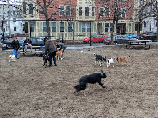 Park «Nunziato Field Dog Park», reviews and photos, Putnam St, Somerville, MA 02143, USA