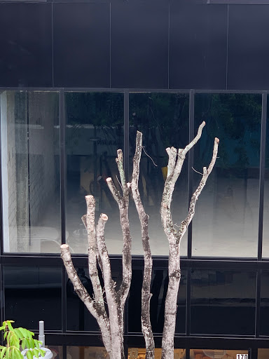 Event Venue «Moore Bldg», reviews and photos, 3841 NE 2nd Ave, Miami, FL 33137, USA