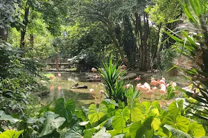 Conservation park zoo image