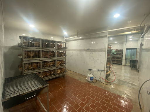 Grocery Store «Sandys Poultry Market», reviews and photos, 305 Madison Ave, Plainfield, NJ 07060, USA