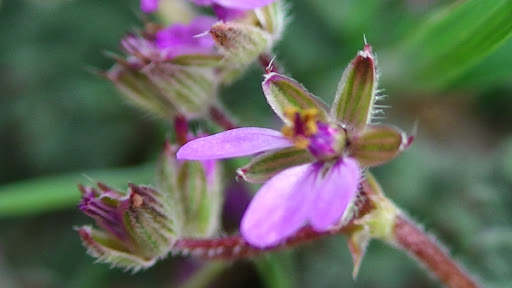 National Park «Tuzigoot National Monument», reviews and photos, 25 Tuzigoot Rd, Clarkdale, AZ 86324, USA