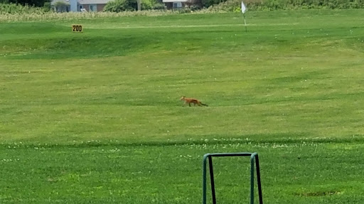 Golf Club «Eagle Creek Golf Club», reviews and photos, 8802 W 56th St, Indianapolis, IN 46234, USA