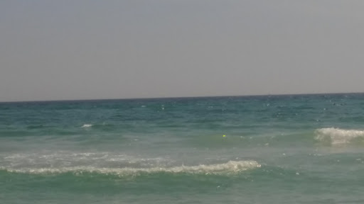 Tourist Attraction «Beach Sand Sculptures», reviews and photos, 15000 Emerald Coast Pkwy, Destin, FL 32541, USA