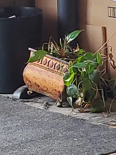 Coffee Shop «The Full Cup Bookstore and Coffee Shop», reviews and photos, 922 S Main St, Weatherford, TX 76086, USA