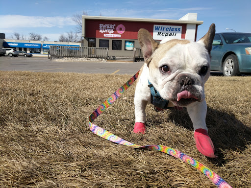 Donut Shop «Sweet Rings Donuts and Deli», reviews and photos, 3001 13th Ave S, Fargo, ND 58103, USA