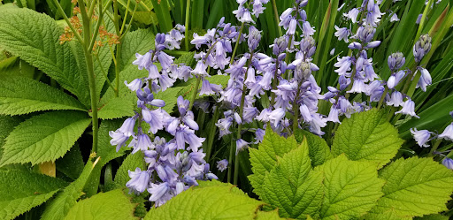 Museum «El Museo Del Barrio», reviews and photos, 1230 5th Ave, New York, NY 10029, USA