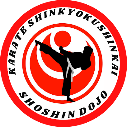 Karate Shinkyokushinkai Mont-Carmel