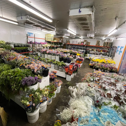 Orange County Wholesale Flowers