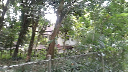Arboretum KSHE Lama