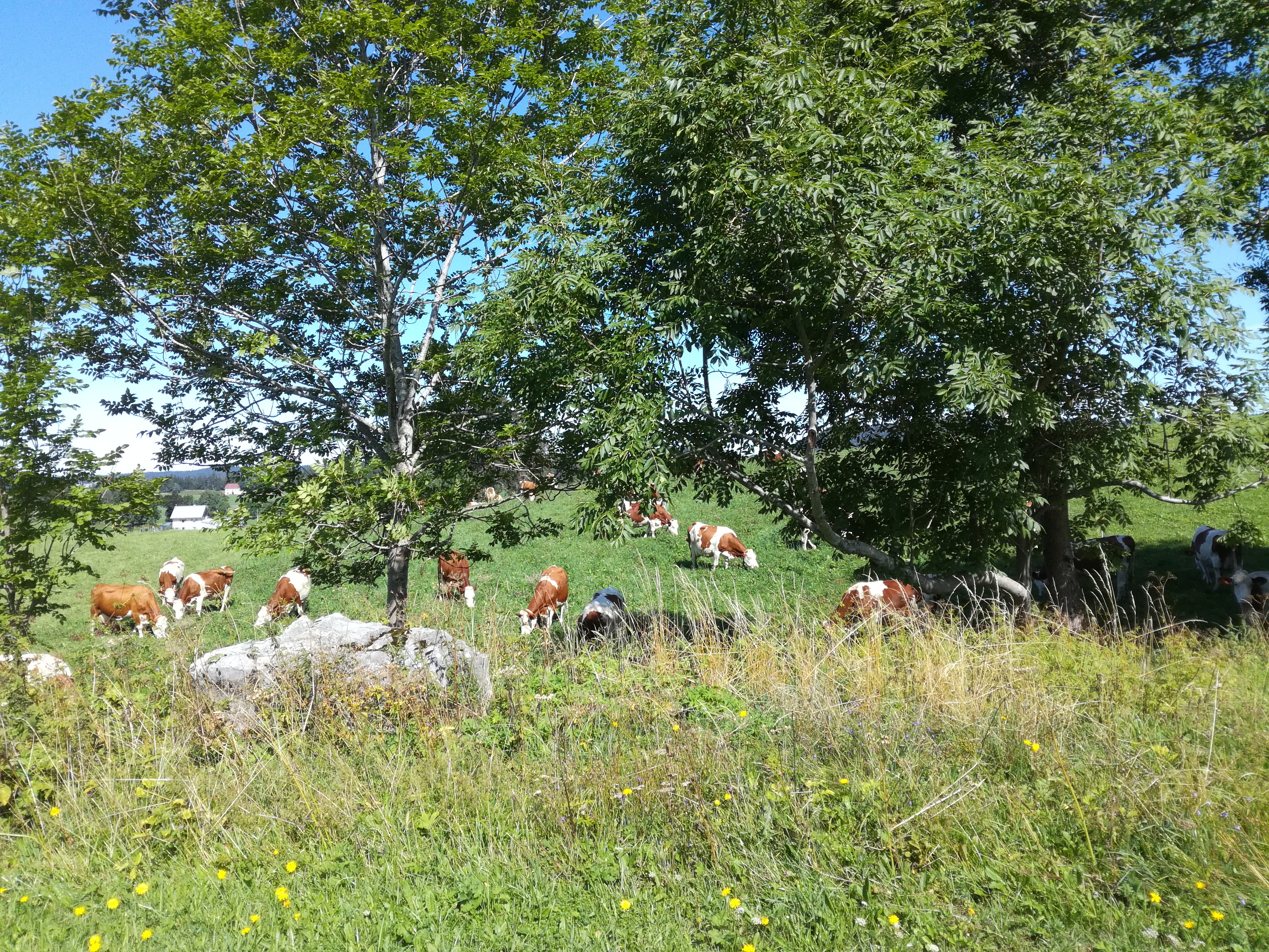 Photo n° 2 de l'avis de Emmanuel.e fait le 02/09/2019 à 14:02