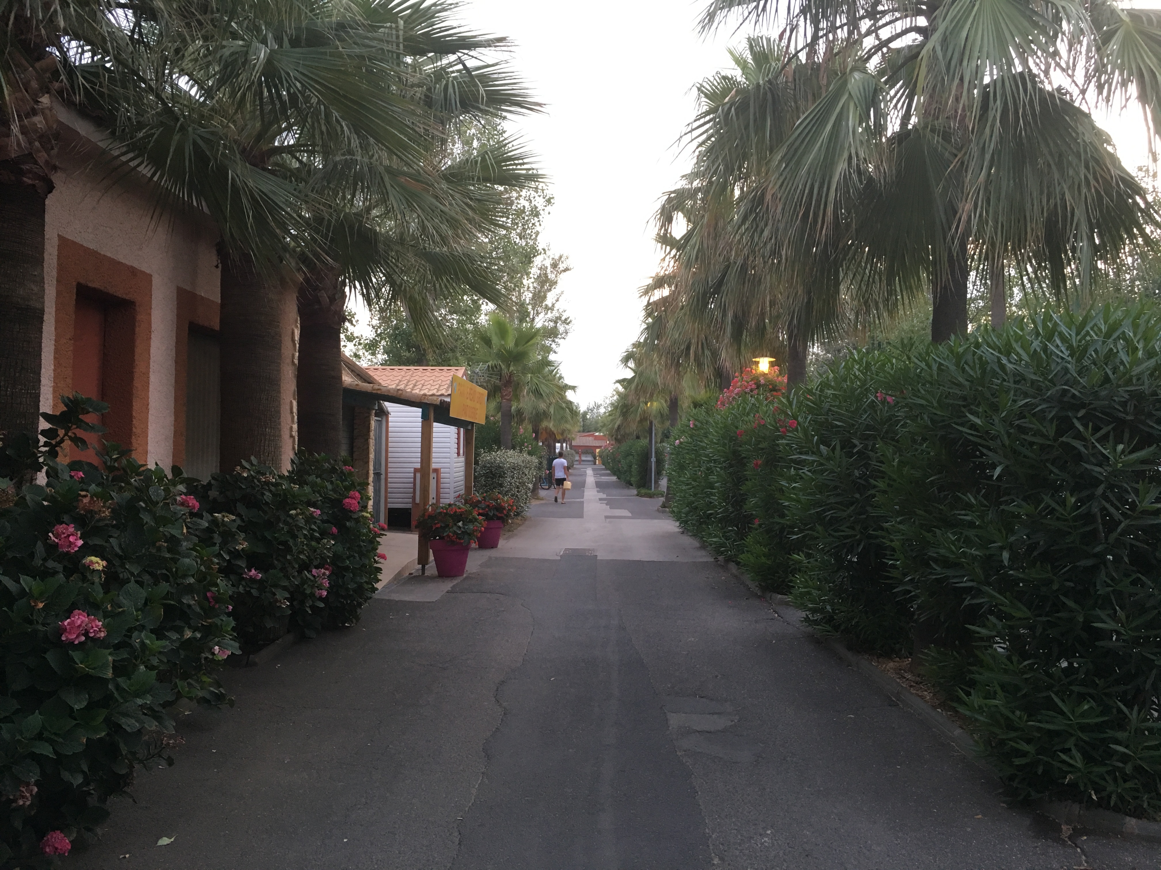 Photo n° 17 de l'avis de Mike.y fait le 28/07/2019 à 18:07