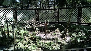 Collier Museum at Government Center - photo 65