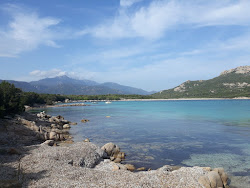 Arbitru beach'in fotoğrafı vahşi alan