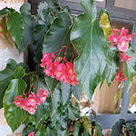 Photo n°1 de l'avis de Sabrina.r fait le 12/11/2023 à 06:14 sur le  Agriturismo Vazianello à Caprarola