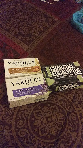 Dollar Store «Dollar Tree», reviews and photos, 2464 W Brandon Blvd, Brandon, FL 33511, USA