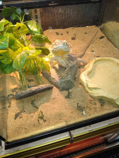 Pet Store «A to Z Pets», reviews and photos, 16010 SE Division St, Portland, OR 97236, USA