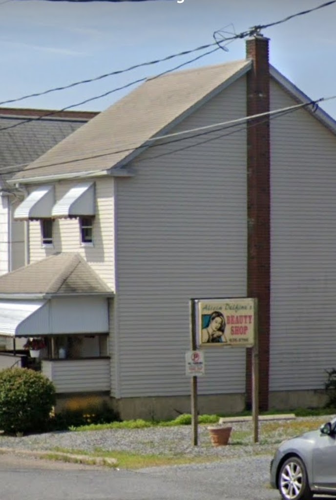 Alicia delfine beauty shoppe freeland pa 18224 services and reviews