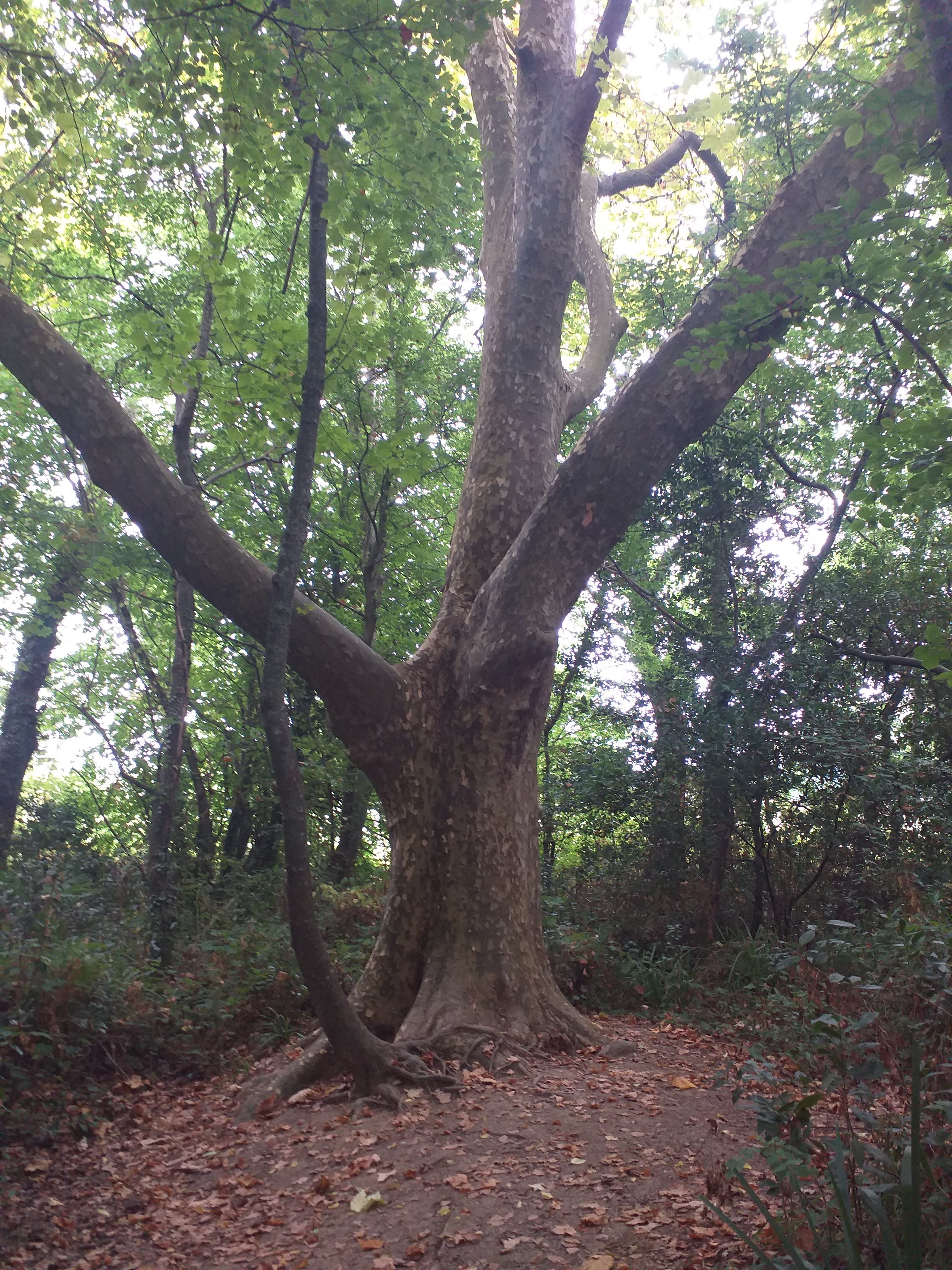 Photo n° 16 de l'avis de Isabel.e fait le 12/08/2022 à 13:40