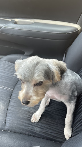 Pet Supply Store «PetSmart», reviews and photos, 40451 Lowes Ave, Gonzales, LA 70737, USA