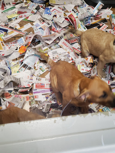 Pet Store «Pets Plus - Lansdale», reviews and photos, 555 S Broad St, Lansdale, PA 19446, USA