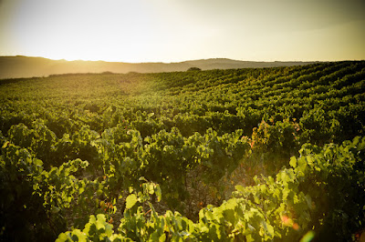 Domaine Jean Esprit à Pont-de-l'Isère