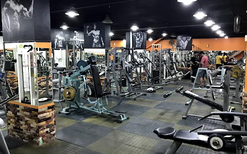 Go Fitness Gym image