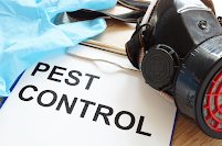 R&R Pest Control Austin - Photo 8 - Car repair in , Round Rock