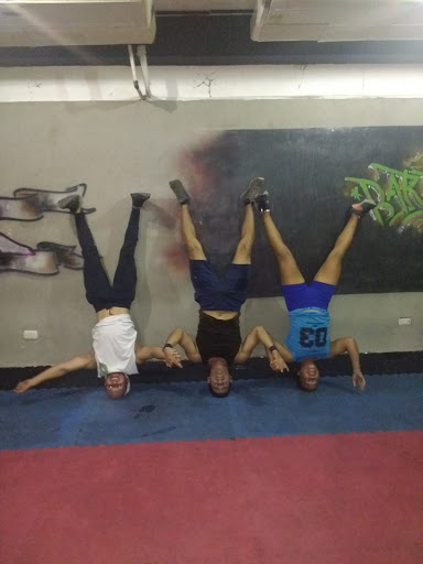 Martial Box Barinas (crossfit)