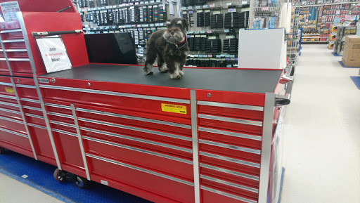 Hardware Store «Harbor Freight Tools», reviews and photos, 9 Signal Hills Center, St Paul, MN 55118, USA