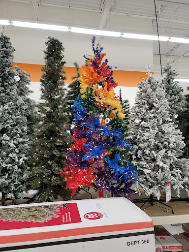 Discount Store «Big Lots», reviews and photos, 4300 Portsmouth Blvd, Chesapeake, VA 23321, USA