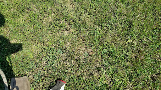 Amusement Park «Kentucky Shores Family Fun Center and Zip Lines», reviews and photos, 6215 US-641, Gilbertsville, KY 42044, USA