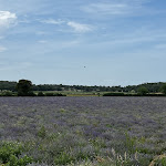 Photo n° 1 de l'avis de Alvin.u fait le 17/06/2023 à 14:26 pour La Ferme des Alix à Rocamadour