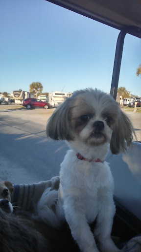 Campground «Ocean Lakes Campground», reviews and photos, 6001 S Kings Hwy, Myrtle Beach, SC 29575, USA