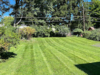 Raze Lawn Care & Landscaping - Photo 1 - Car repair in Columbus, OH, Columbus