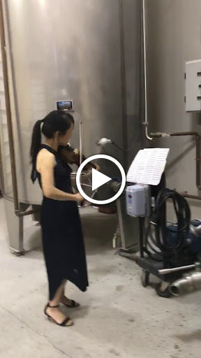 American Restaurant «Dancing Cat Saloon», reviews and photos, 2037 NY-17B, Bethel, NY 12720, USA