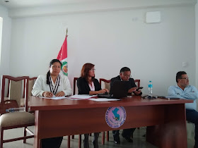 Colegio de Enfermeros del Perú, Consejo Regional XXIV Lima - Provincias