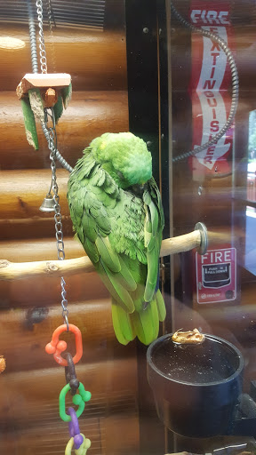 Water Park «Wild Bear Falls Water Park», reviews and photos, 915 Westgate Resorts Rd, Gatlinburg, TN 37738, USA