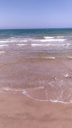 Vidéos Hébergement Hostal El Perelló (Valencia) 46420 El Perelló