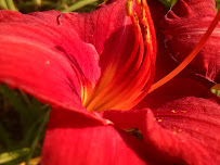 By the Yard Lawn Care Services - Photo 2 - Car repair in Swanton, VT, Burlington