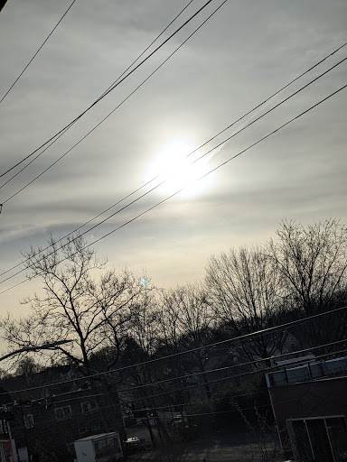 Supermarket «The Harrison Market», reviews and photos, 355 Halstead Ave, Harrison, NY 10528, USA