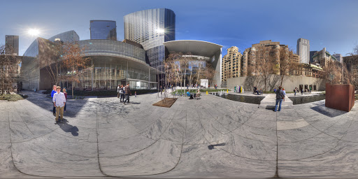 The Museum of Modern Art
