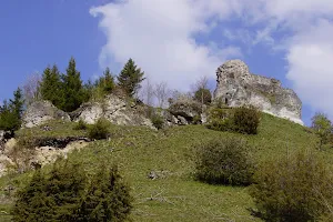 Burg Schenkenstein image