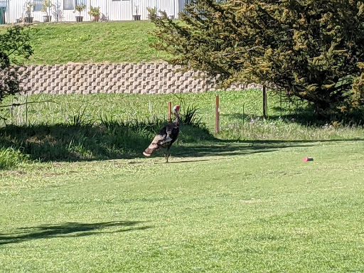 Golf Course «Pajaro Valley Golf Club», reviews and photos, 967 Salinas Rd, Watsonville, CA 95076, USA