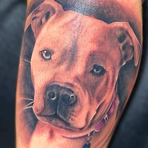 Tattoo Shop «Vivid Ink», reviews and photos, 2375 N Cedar St # C, Holt, MI 48842, USA