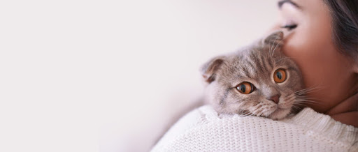 Clínica Veterinária Feline em Ribeirão Preto - SP