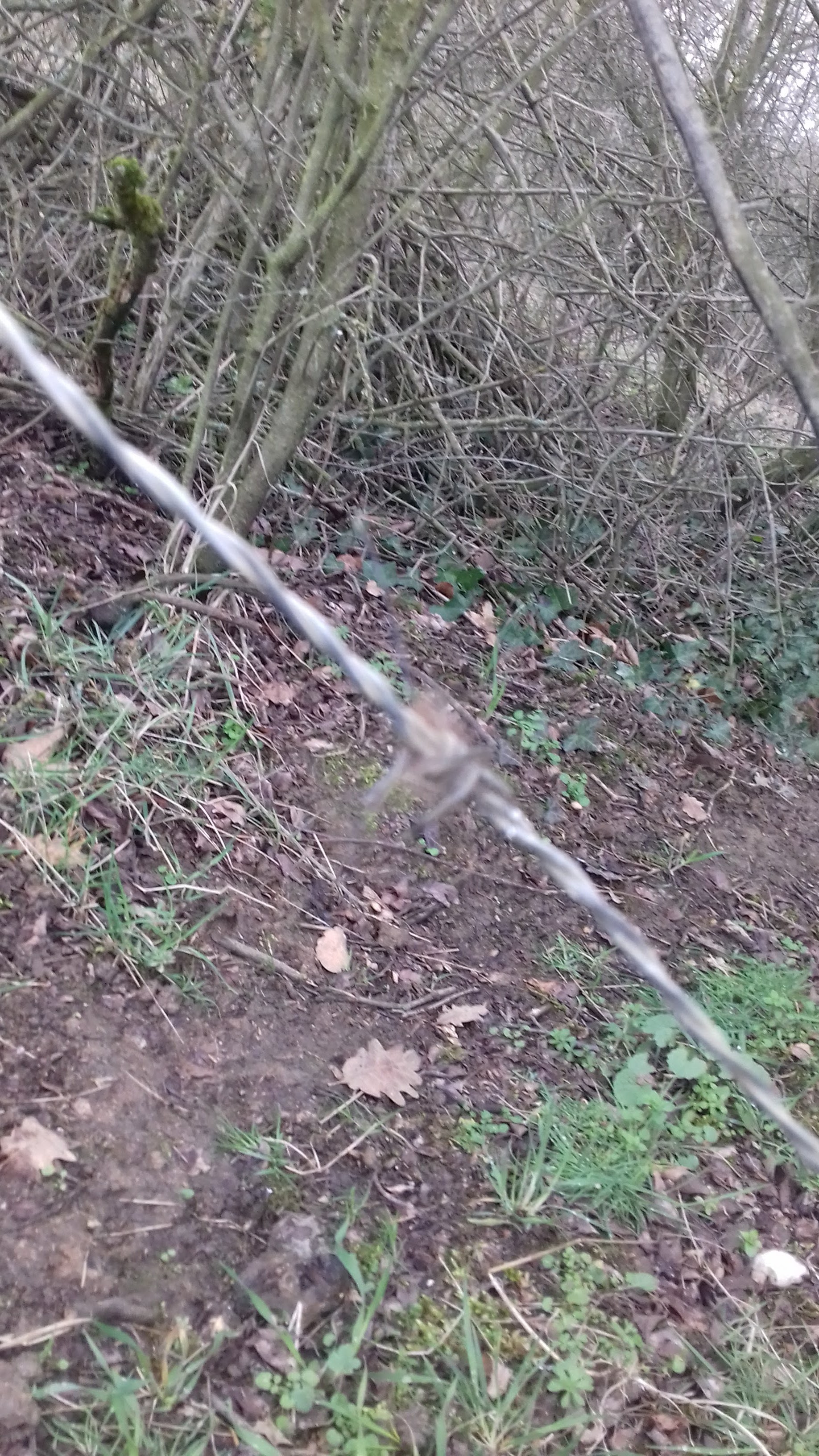 Photo n° 18 de l'avis de Mxtth.. fait le 25/03/2018 à 12:45